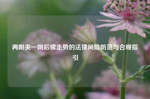 两阳夹一阴后续走势的法律风险防范与合规指引