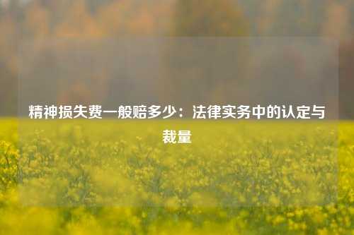 精神损失费一般赔多少:法律实务中的认定与裁量