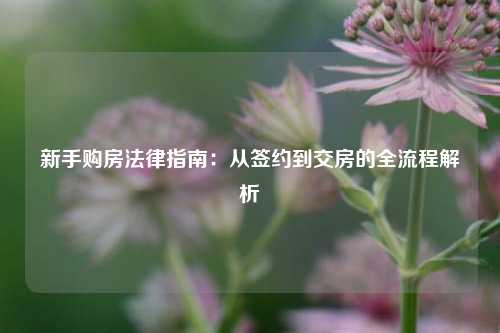新手购房法律指南：从签约到交房的全流程解析