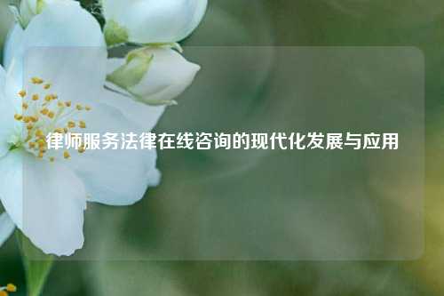 律师服务法律在线咨询的现代化发展与应用