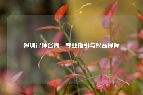 深圳律师咨询：专业指引与权益保障