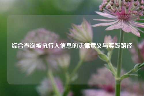 综合查询被执行人信息的法律意义与实践路径